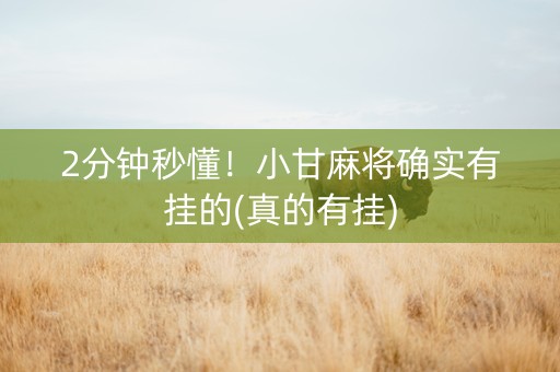 2分钟秒懂！小甘麻将确实有挂的(真的有挂)