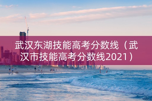 武汉东湖技能高考分数线（武汉市技能高考分数线2021）