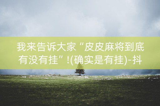 我来告诉大家“皮皮麻将到底有没有挂”!(确实是有挂)-抖音