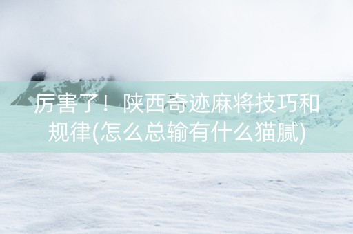 厉害了！陕西奇迹麻将技巧和规律(怎么总输有什么猫腻)