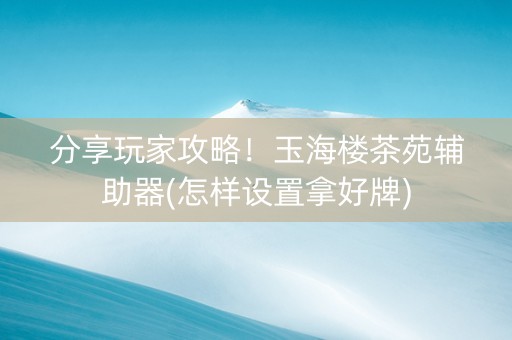 分享玩家攻略！玉海楼茶苑辅助器(怎样设置拿好牌)