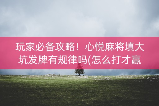 玩家必备攻略！心悦麻将填大坑发牌有规律吗(怎么打才赢)