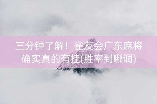 三分钟了解！雀友会广东麻将确实真的有挂(胜率到哪调)