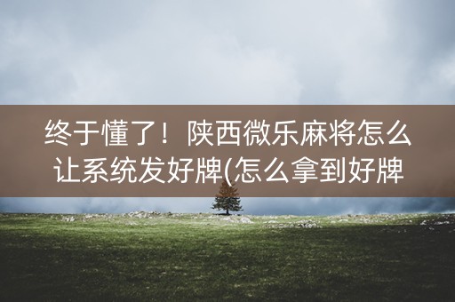 终于懂了！陕西微乐麻将怎么让系统发好牌(怎么拿到好牌)