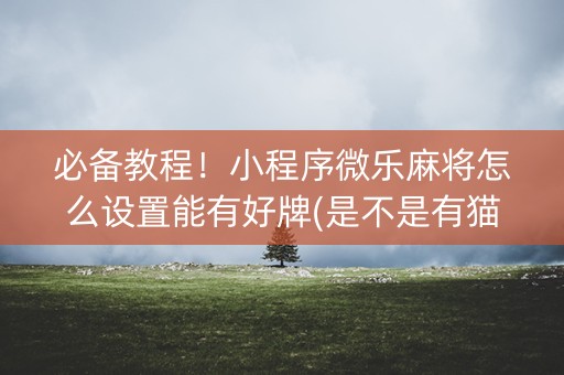 必备教程！小程序微乐麻将怎么设置能有好牌(是不是有猫腻)