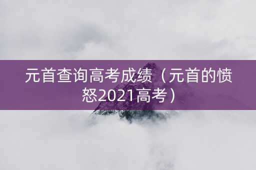 元首查询高考成绩（元首的愤怒2021高考）