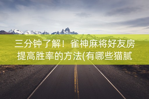 三分钟了解！雀神麻将好友房提高胜率的方法(有哪些猫腻)