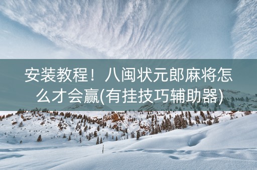 安装教程！八闽状元郎麻将怎么才会赢(有挂技巧辅助器)