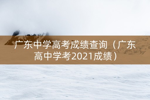 广东中学高考成绩查询（广东高中学考2021成绩）