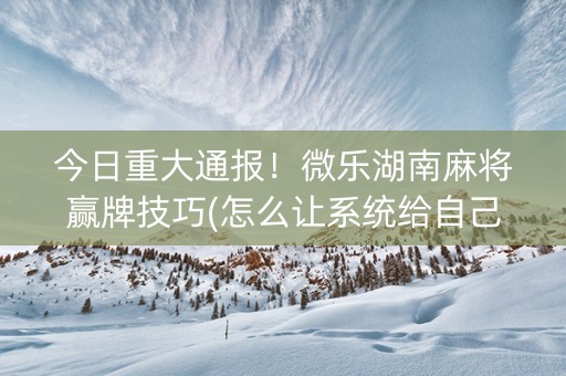 今日重大通报！微乐湖南麻将赢牌技巧(怎么让系统给自己好牌)