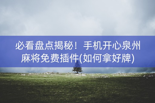 必看盘点揭秘！手机开心泉州麻将免费插件(如何拿好牌)