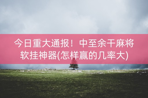 今日重大通报！中至余干麻将软挂神器(怎样赢的几率大)