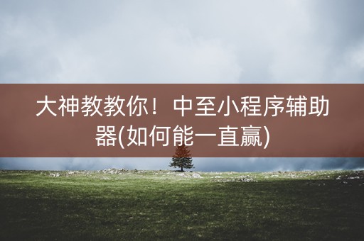 大神教教你！中至小程序辅助器(如何能一直赢)