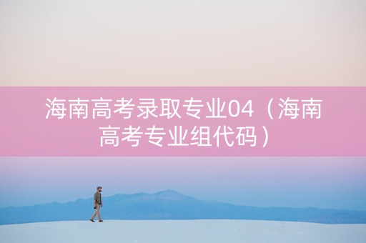 海南高考录取专业04（海南高考专业组代码）