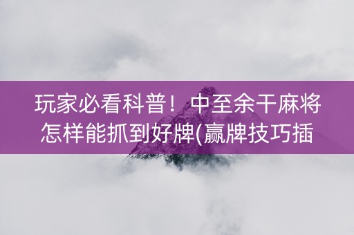 玩家必看科普！中至余干麻将怎样能抓到好牌(赢牌技巧插件安装)