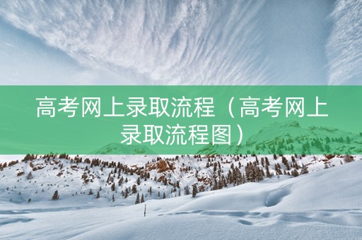 高考网上录取流程（高考网上录取流程图）