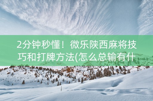 2分钟秒懂！微乐陕西麻将技巧和打牌方法(怎么总输有什么猫腻)