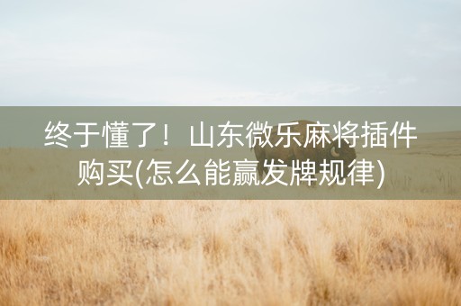 终于懂了！山东微乐麻将插件购买(怎么能赢发牌规律)