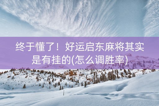 终于懂了！好运启东麻将其实是有挂的(怎么调胜率)