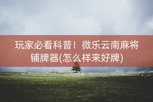 玩家必看科普！微乐云南麻将铺牌器(怎么样来好牌)