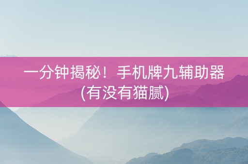 一分钟揭秘！手机牌九辅助器(有没有猫腻)