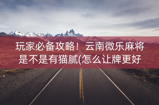 玩家必备攻略！云南微乐麻将是不是有猫腻(怎么让牌更好)
