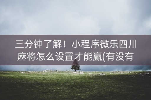 三分钟了解！小程序微乐四川麻将怎么设置才能赢(有没有技巧)
