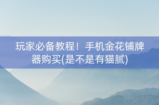 玩家必备教程！手机金花铺牌器购买(是不是有猫腻)