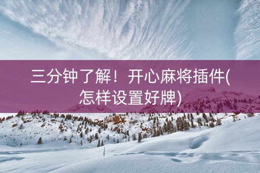 三分钟了解！开心麻将插件(怎样设置好牌)