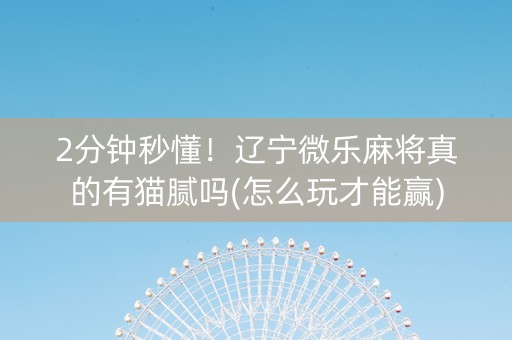 2分钟秒懂！辽宁微乐麻将真的有猫腻吗(怎么玩才能赢)