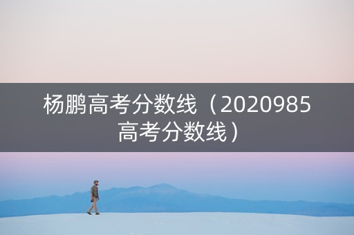 杨鹏高考分数线（2020985高考分数线）