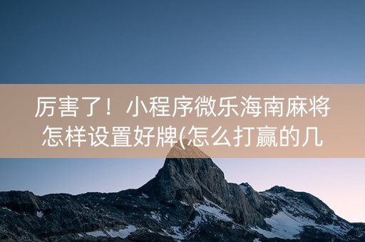 厉害了！小程序微乐海南麻将怎样设置好牌(怎么打赢的几率大)