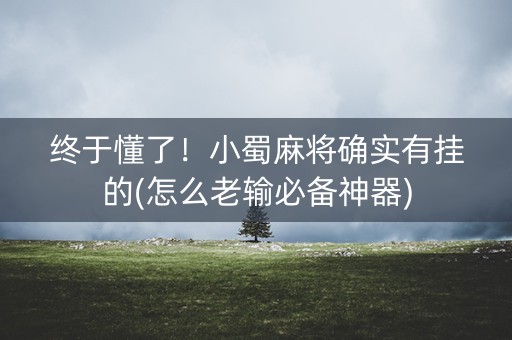 终于懂了！小蜀麻将确实有挂的(怎么老输必备神器)