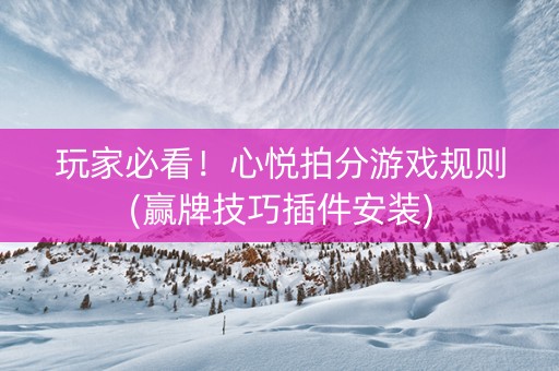 玩家必看！心悦拍分游戏规则(赢牌技巧插件安装)