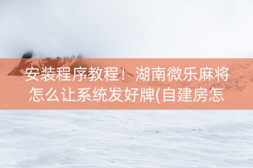 安装程序教程！湖南微乐麻将怎么让系统发好牌(自建房怎么赢)