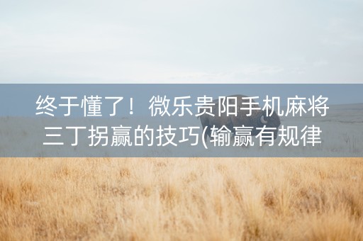 终于懂了！微乐贵阳手机麻将三丁拐赢的技巧(输赢有规律)