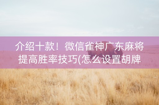 介绍十款！微信雀神广东麻将提高胜率技巧(怎么设置胡牌)