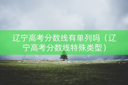 辽宁高考分数线有单列吗（辽宁高考分数线特殊类型）