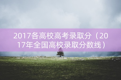 2017各高校高考录取分（2017年全国高校录取分数线）