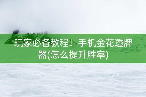 玩家必备教程！手机金花透牌器(怎么提升胜率)