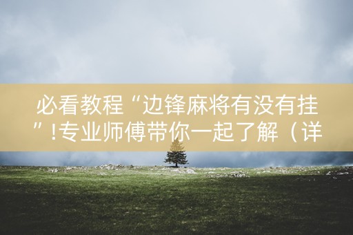 必看教程“边锋麻将有没有挂”!专业师傅带你一起了解（详细教程）-抖音