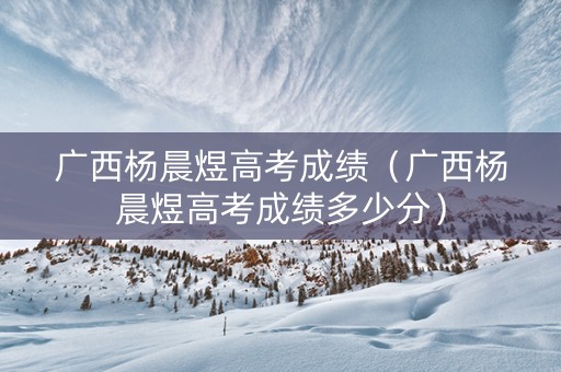广西杨晨煜高考成绩（广西杨晨煜高考成绩多少分）