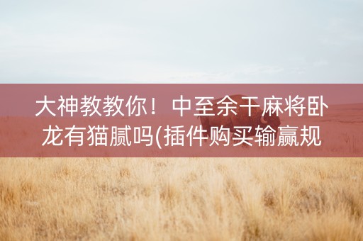 大神教教你！中至余干麻将卧龙有猫腻吗(插件购买输赢规律)