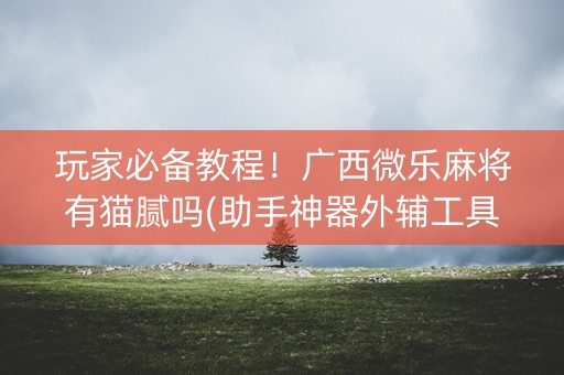 玩家必备教程！广西微乐麻将有猫腻吗(助手神器外辅工具)