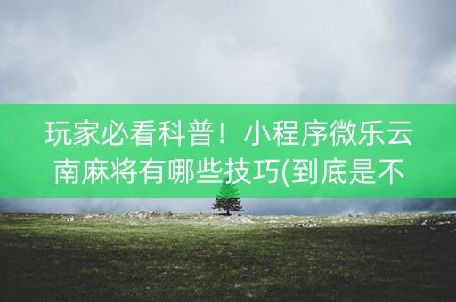 玩家必看科普！小程序微乐云南麻将有哪些技巧(到底是不是有挂)