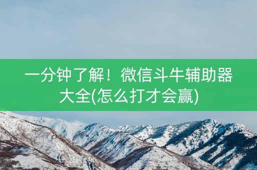 一分钟了解！微信斗牛辅助器大全(怎么打才会赢)
