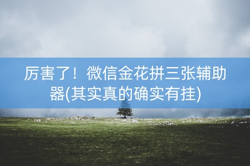 厉害了！微信金花拼三张辅助器(其实真的确实有挂)