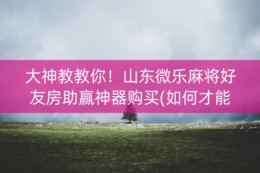 大神教教你！山东微乐麻将好友房助赢神器购买(如何才能打赢)