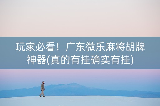 玩家必看！广东微乐麻将胡牌神器(真的有挂确实有挂)