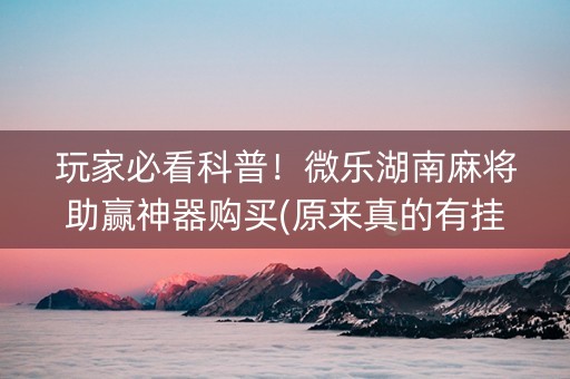玩家必看科普！微乐湖南麻将助赢神器购买(原来真的有挂)